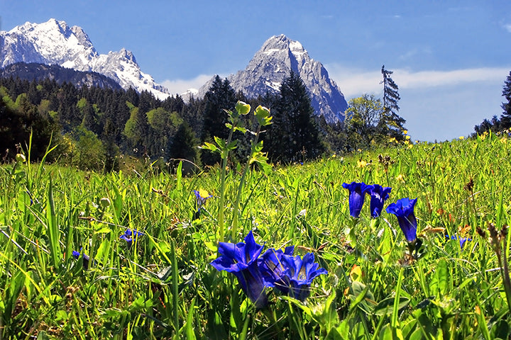 Saisonstart für Trekking- & Wandern