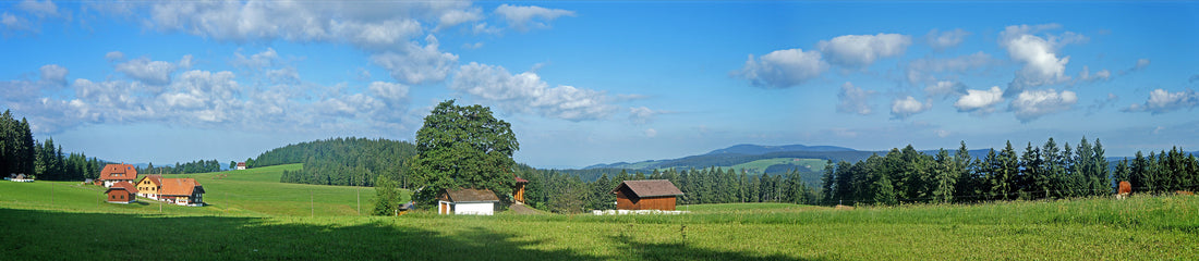 Sommerferien, Wandern in Schwarzwald