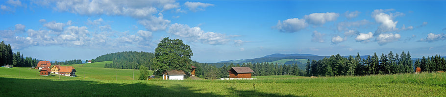 Sommerferien in den Schwarzwald