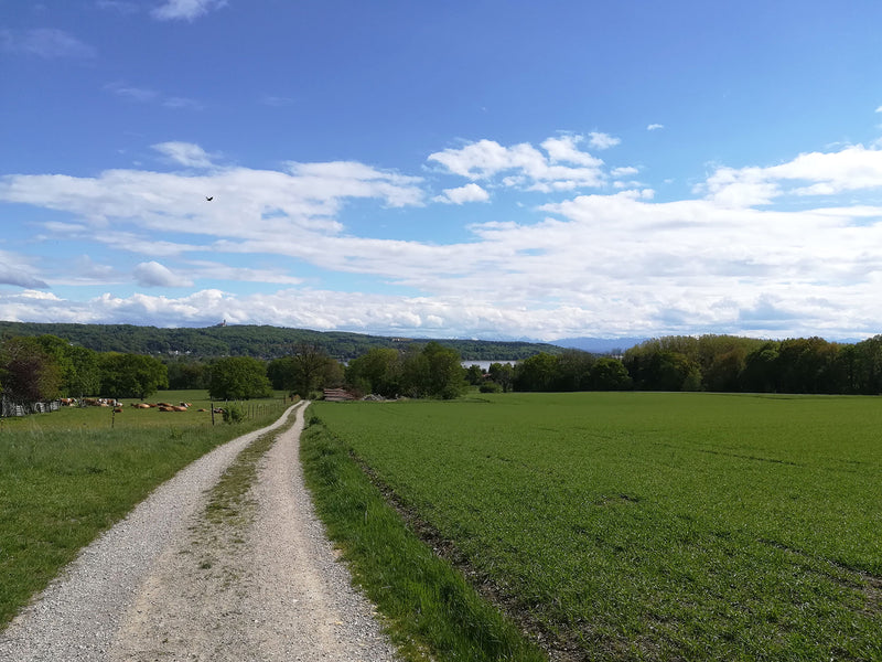 Rausch (Herrsching am Ammersee): Die schönsten Wanderwege